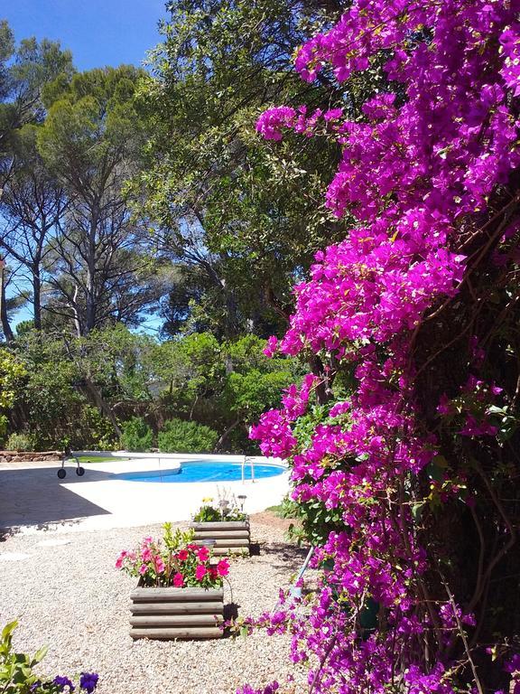Appartement Dans Villa St Raphael Saint-Raphaël Esterno foto